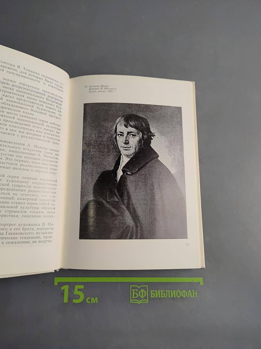 Творчество Карела Пуркине и чешская живопись середины XIX века