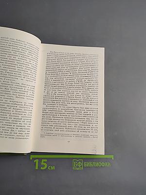 Обвиняется в убийстве