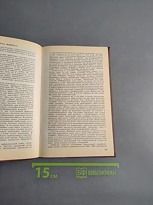 Справочник по инфекционным болезням