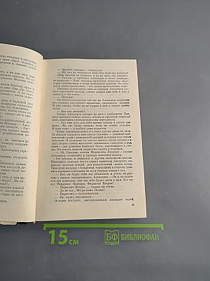 Комиссар Джангильдин
