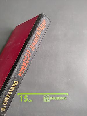 Комиссар Джангильдин