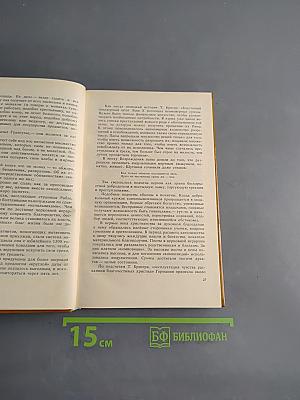 Странствующий рыцарь истины