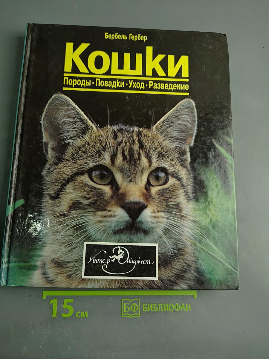 Кошки