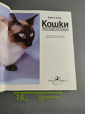 Кошки