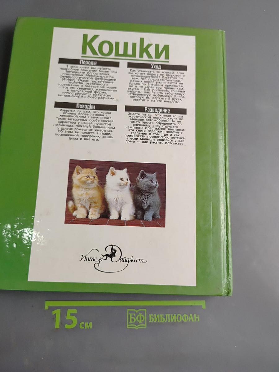 Кошки