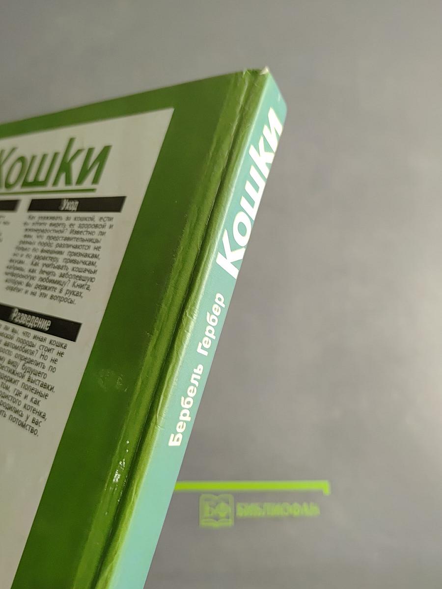 Кошки