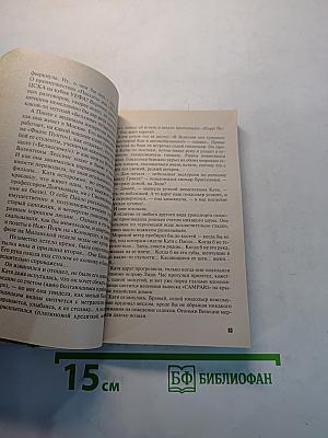 Кот не виноватый