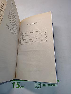 Избранник ворона
