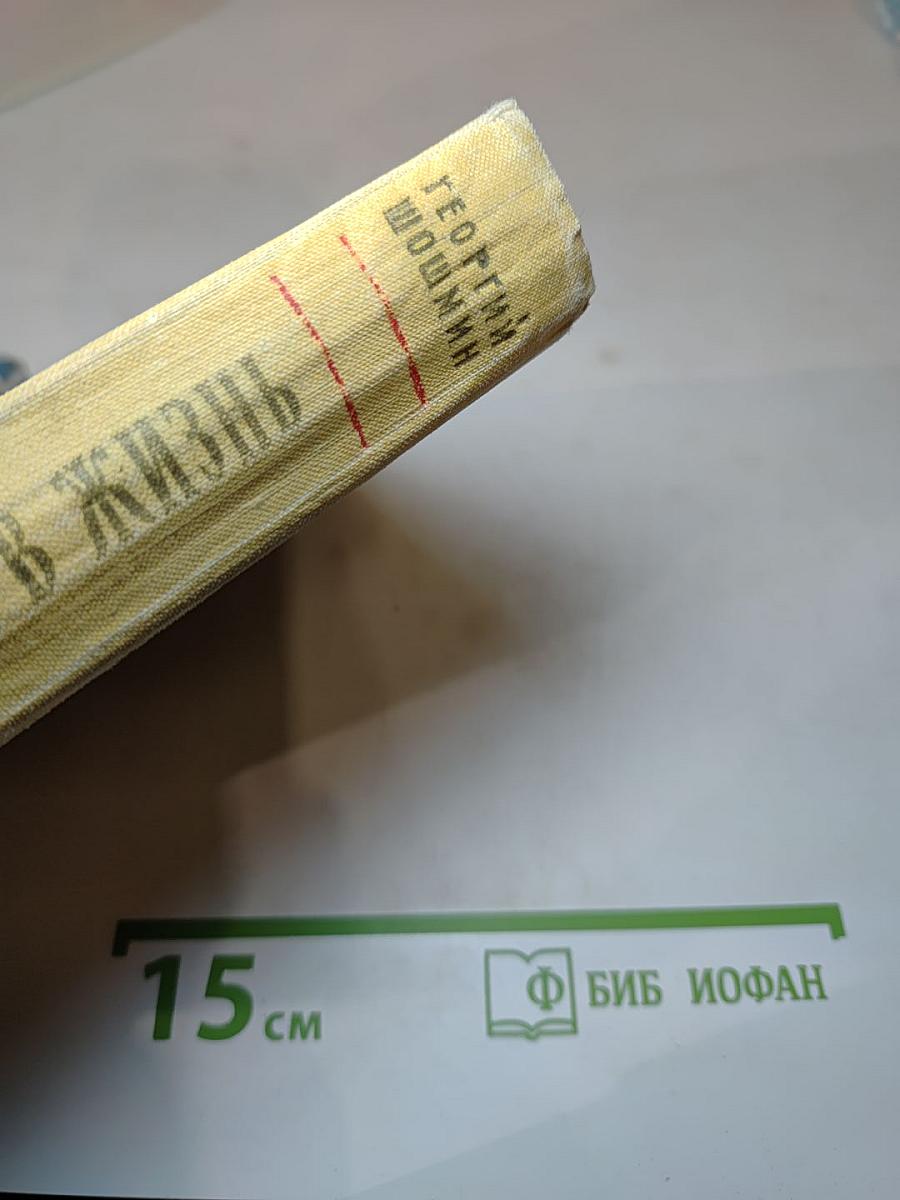 Возвращение в жизнь
