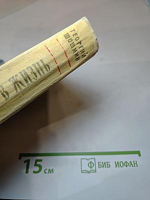 Возвращение в жизнь