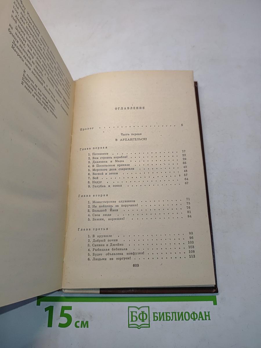 Россия молодая. Книга первая