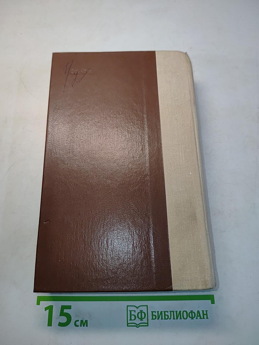 Россия молодая. Книга первая