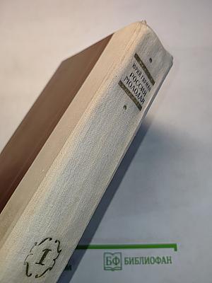 Россия молодая. Книга первая