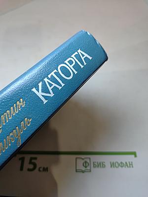 Крейсера. Каторга