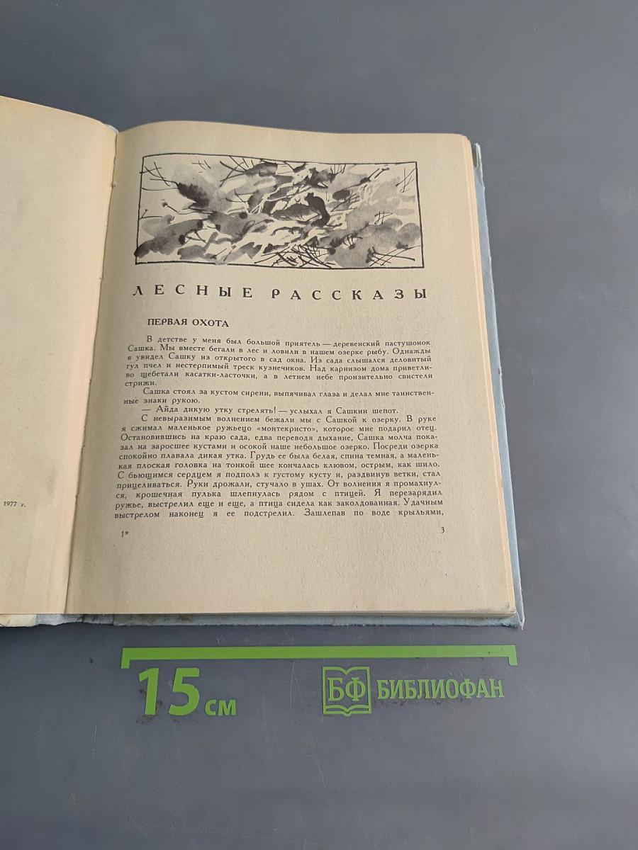 Голубые дни