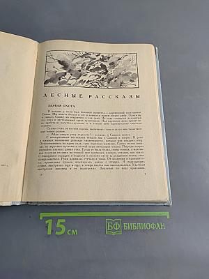 Голубые дни