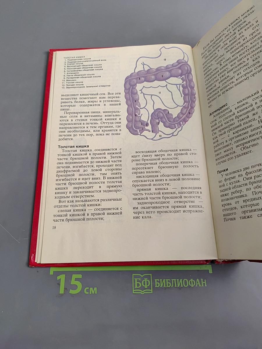 Расти здоровым. Детская энциклопедия здоровья