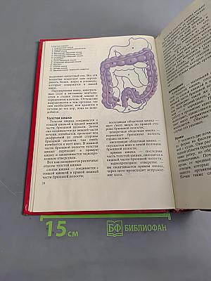 Расти здоровым. Детская энциклопедия здоровья