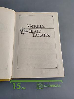 Узница ШАТО-ГАЙАРА. Яд и корона