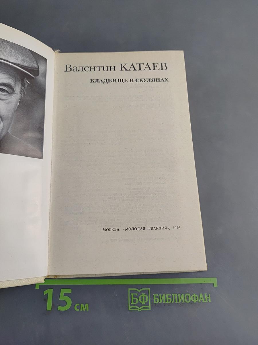 Кладбище в Скулянах