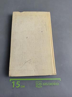 Кладбище в Скулянах