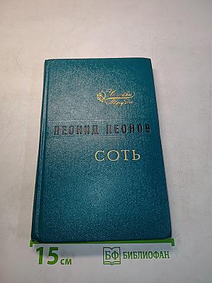 Соть