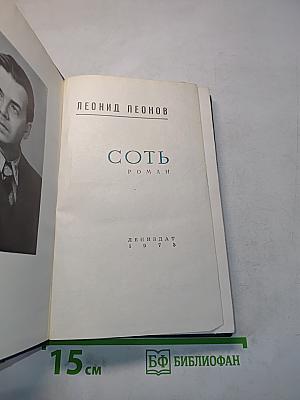 Соть