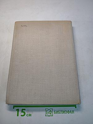 Литейный, 36