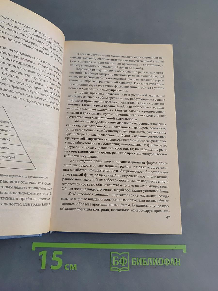 Основы менеджмента