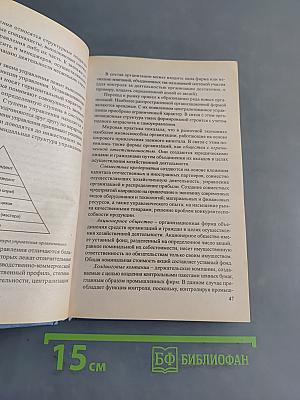 Основы менеджмента