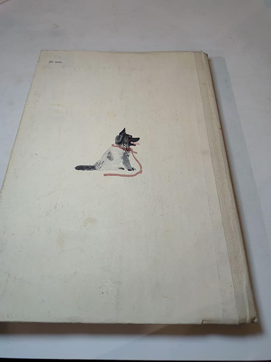 Рыцари без страха, но не без упрёка