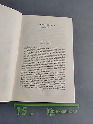 Собрание сочинений. Том двадцатый. Крошка Доррит. Книга первая