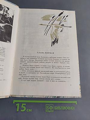 Взгляни на небо