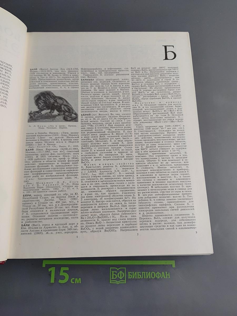 Большая Советская Энциклопедия. Том 3. Бари — Браслет