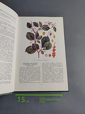 Лекарственные растения СССР и их применение