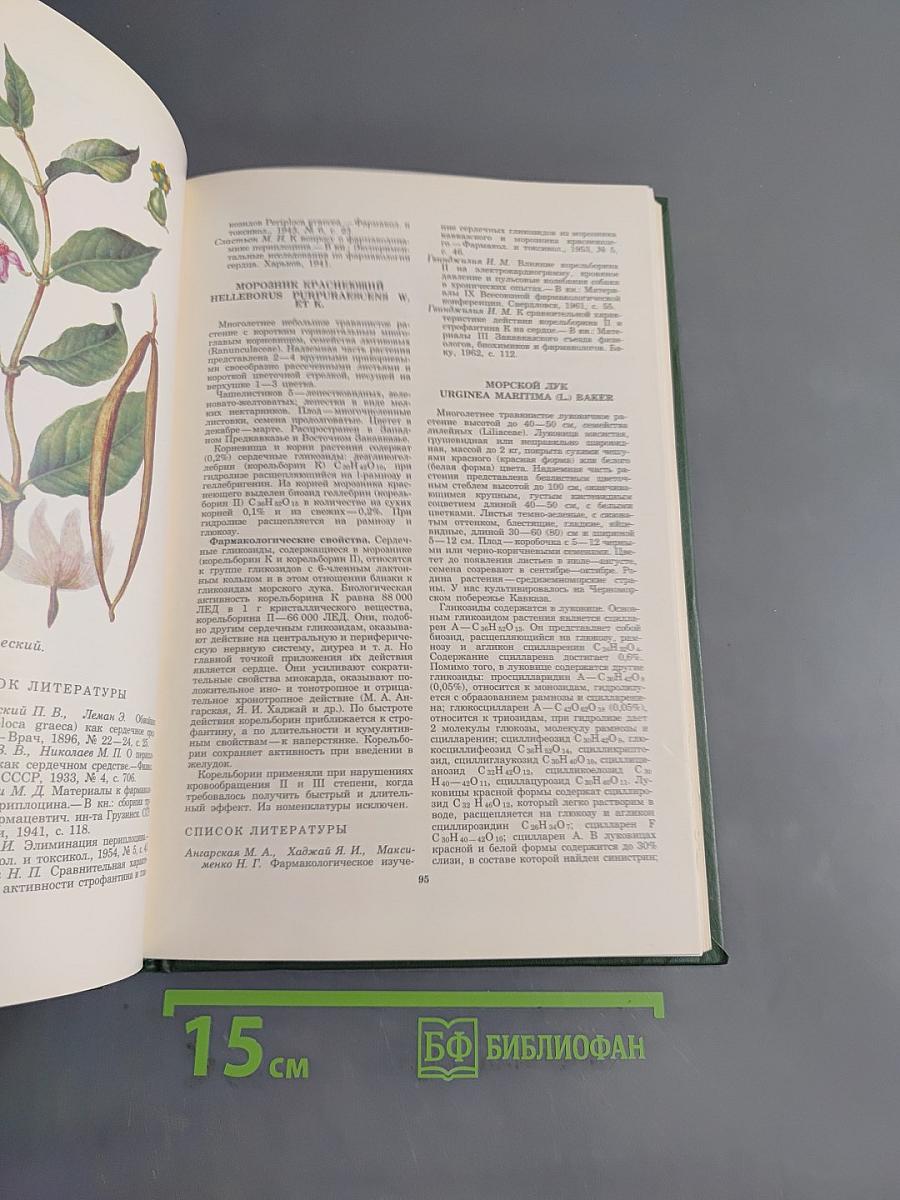 Лекарственные растения СССР и их применение