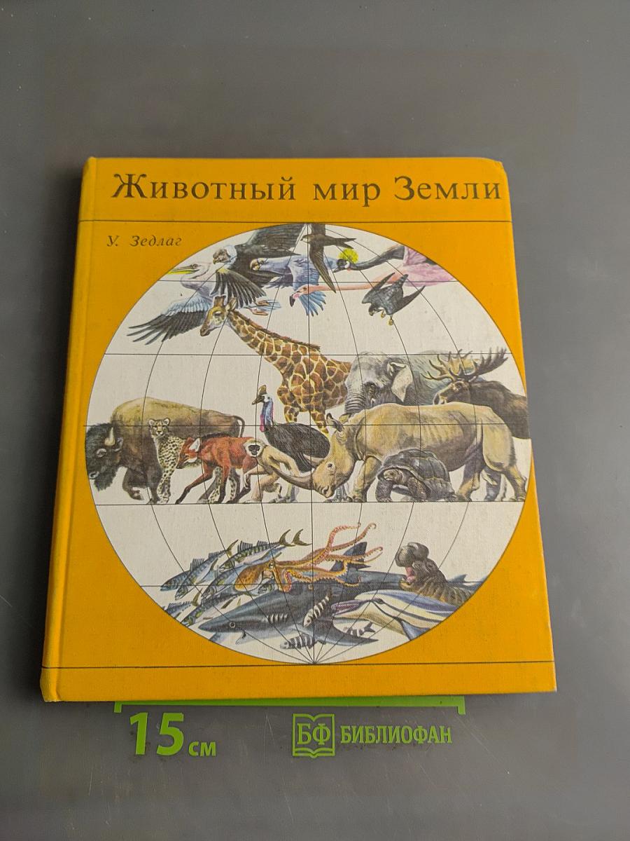Животный мир Земли