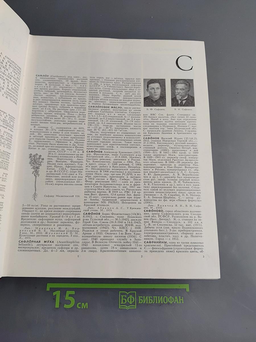Большая Советская Энциклопедия. Том 23. Сафлор — Соан