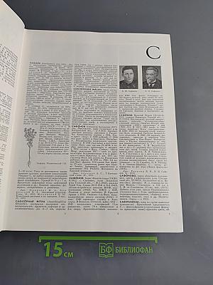 Большая Советская Энциклопедия. Том 23. Сафлор — Соан