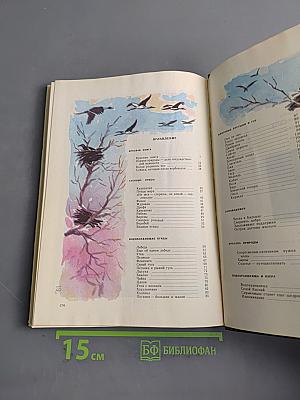 Красота солнечного края