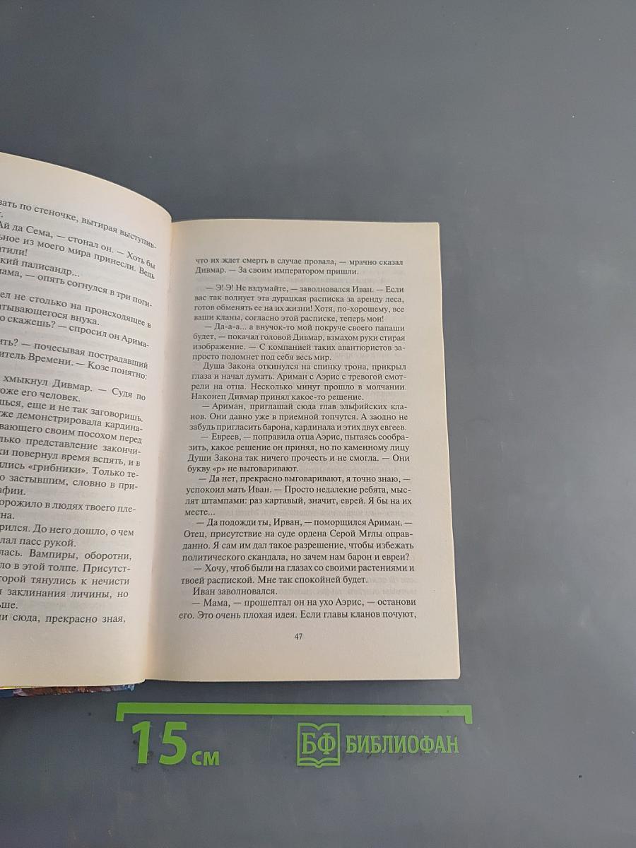 Тринадцатый наследник. Ревизор
