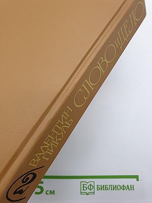 Слово и Дело. Роман-хроника времен Анны Иоанновны. Книга 2: Мои любезные конфиденты