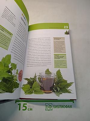 Лесные эликсиры: целебные настойки и отвары