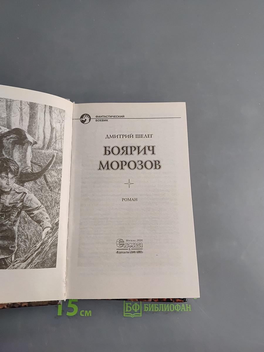 Боярич Морозов