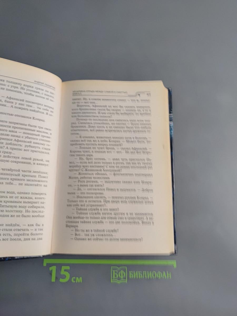 Кесаревна Отрада, или Между Славой и Смертью. Книга вторая