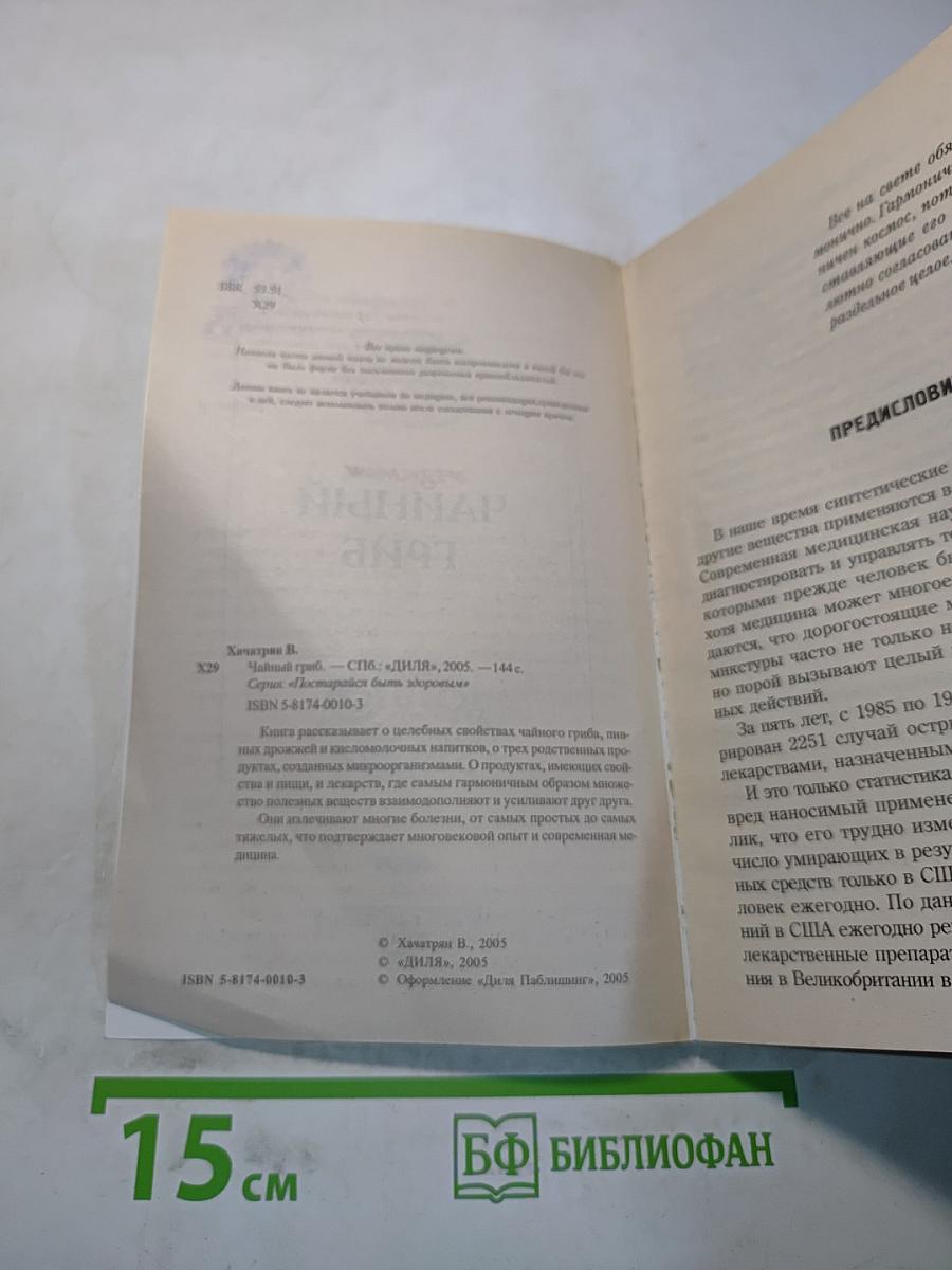 Чайный гриб