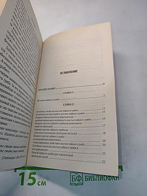 Чайный гриб