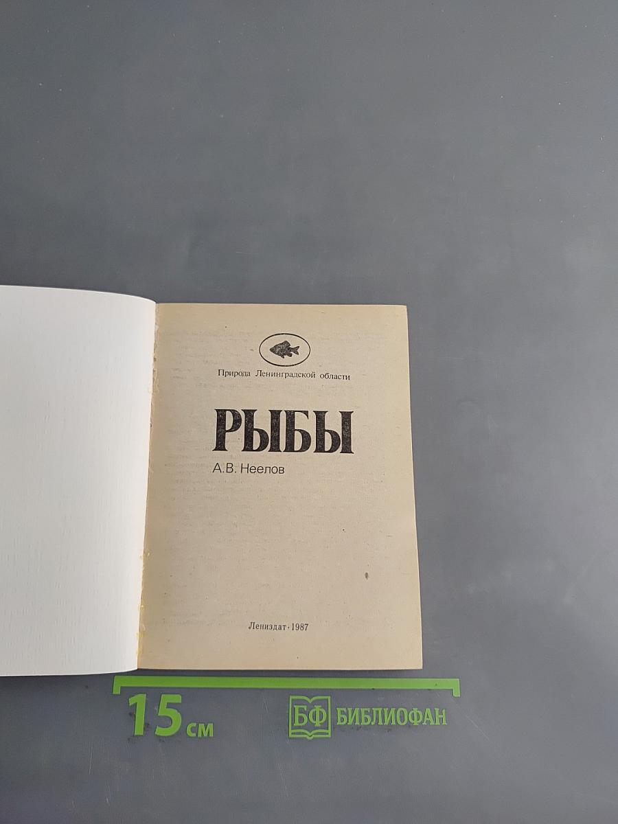 Рыбы