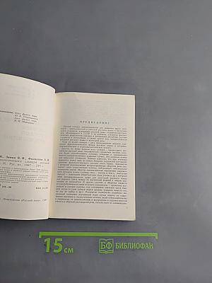 Опыт этимологического словаря русской фразеологии