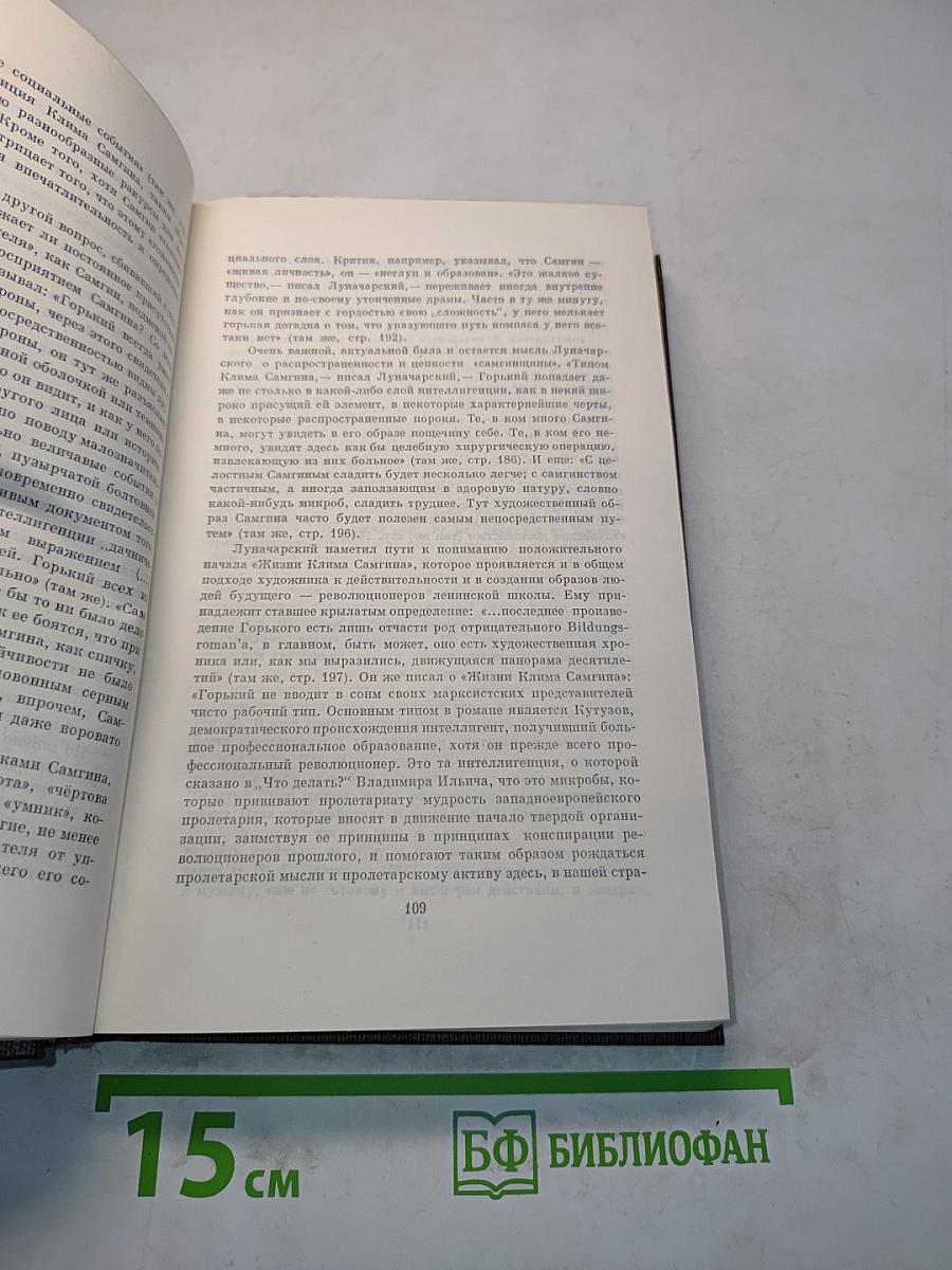 Собрание сочинений в тридцати томах. Том двадцать пятый. Жизнь Клима Самгина (Сорок лет). Заметки, наброски, примечания, указатели